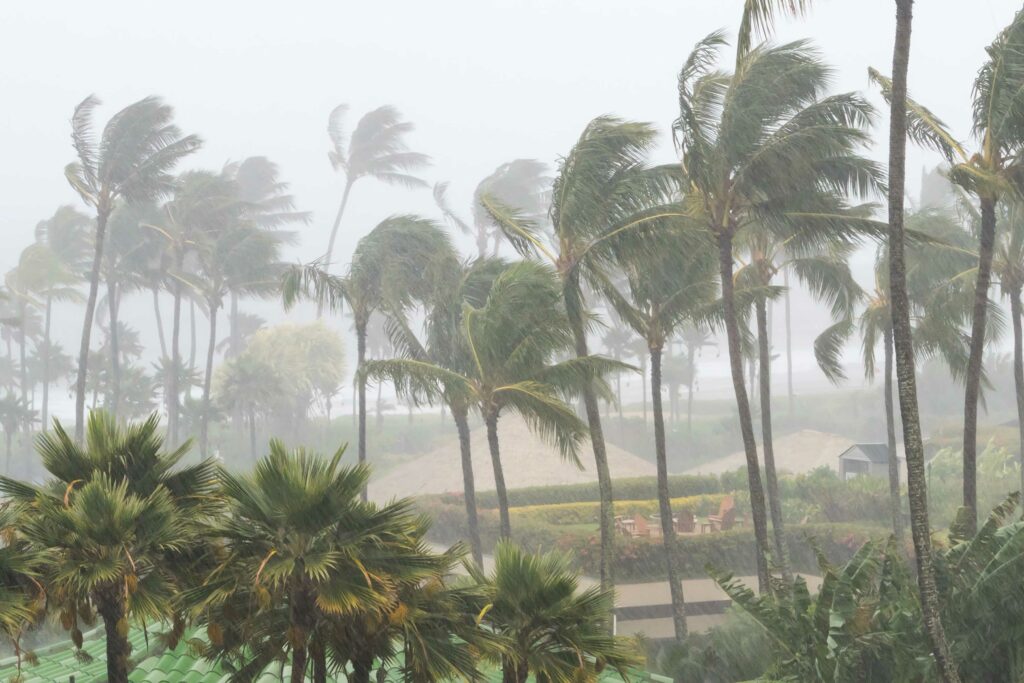 Hawaii Storm